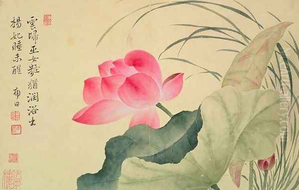 Lotus flower, by Yun Shou-Ping (1633-90), from an Album of Flowers Oil Painting by Shouping Yun