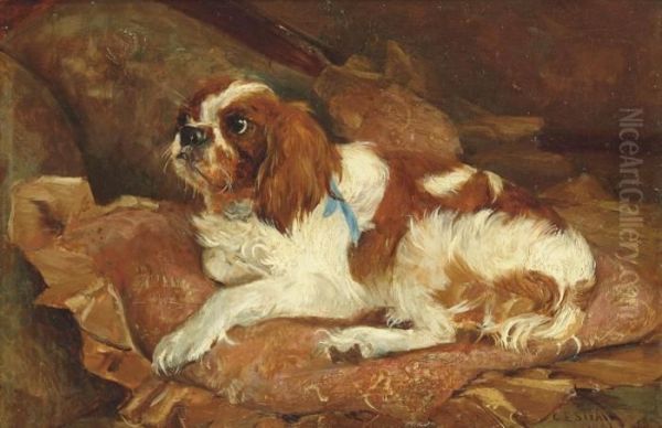 A Comfier Spaniel Oil Painting by Cuthbert Edmund Swan