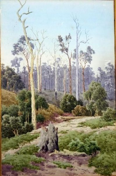 The Bush Clearing Oil Painting by Henri Tebbitt