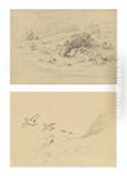 Studies Of Young Tern Oil Painting by Archibald Thorburn