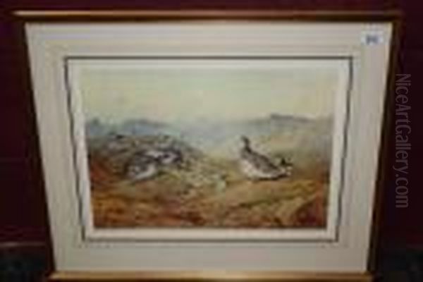 Ptarmigan Oil Painting by Archibald Thorburn