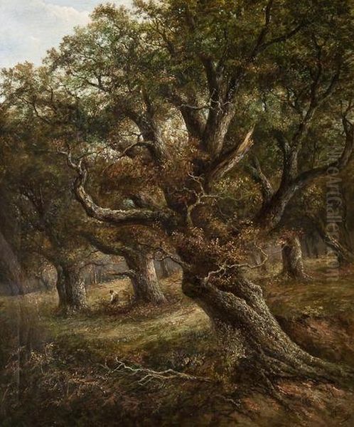 A Woodland Landscape Oil Painting by Joseph Thors