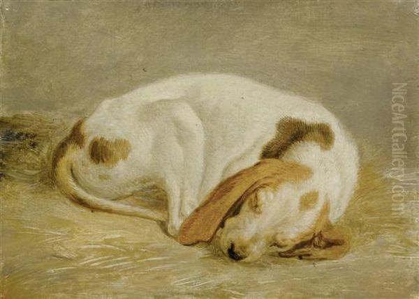 Pair Of Works: Deux Etudes D'un Chiot Dormant En Boule Oil Painting by Wolfgang-Adam Toepffer