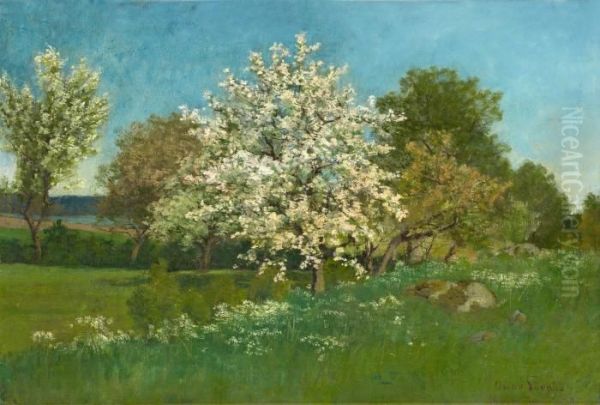 Blossoming Fruit Tree Oil Painting by Oscar Emil Torna