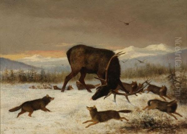 Pack Of Wolves Attacking An Elk Oil Painting by Newbold Hough Trotter