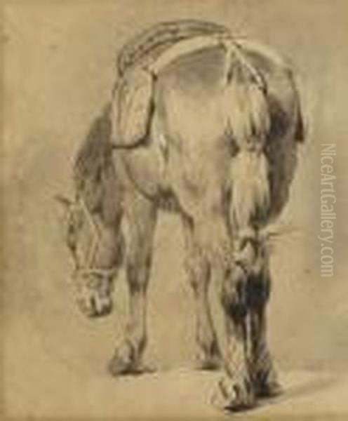 Study Of A Saddled Horse Oil Painting by Pieter van Bloemen