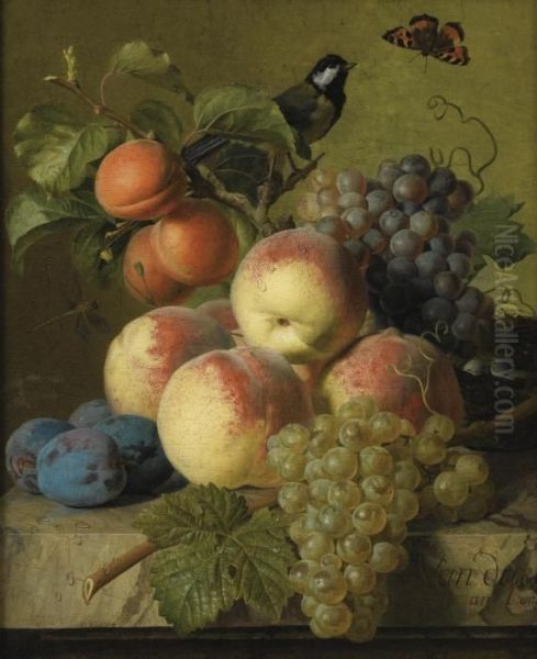 Stll Life Of Peaches, Grapes And Plums On A Stone Ledge With A Bird And Butterfly Oil Painting by Jan Frans Van Dael