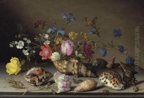 Flowers, Shells And Insects On A Stone Ledge Oil Painting by Balthasar Van Der Ast