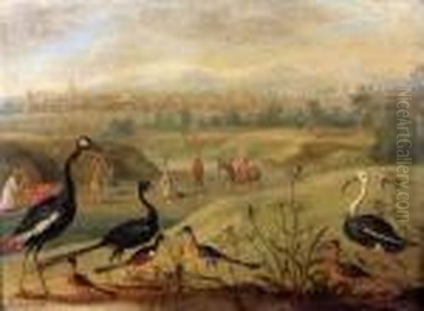 Oiseaux Dans Un Paysage Oil Painting by Jan van Kessel