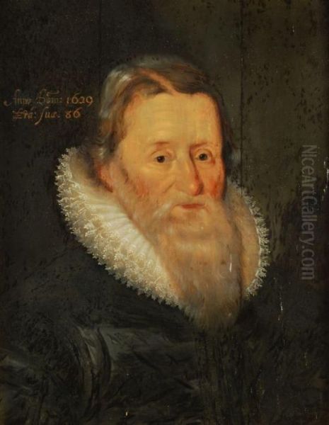 Portrait Of A Gentleman Oil Painting by Michiel Jansz. Van Miereveldt