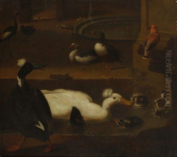 Canards Dans Une Fontaine Oil Painting by Adriaen van Oolen