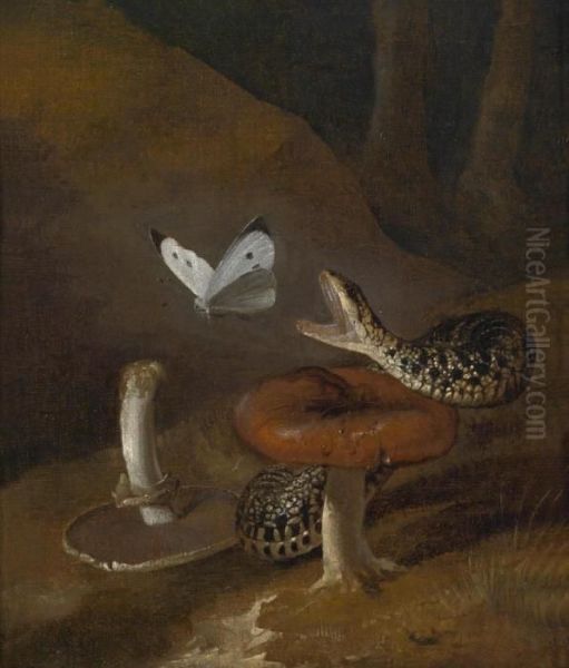 A Sous-bois Still Life With A Snake Oil Painting by Otto Marseus Snuff. Van Schrieck