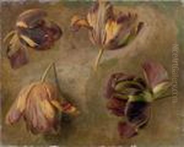 Etude De Tulipes Oil Painting by Cornelis van Spaendonck