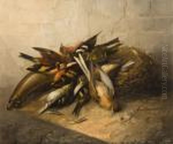 Composition Aux Oiseaux Et A La Bibole Oil Painting by Albertus Verhoesen