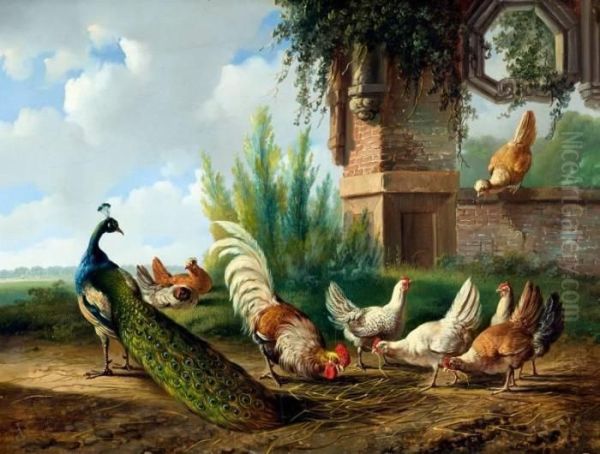 Pauw, Haan En Kippen Bij Een Tuinmuur Oil Painting by Albertus Verhoesen