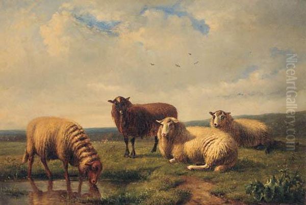 Sheep Resting In A Meadow Oil Painting by Louis Pierre Verwee