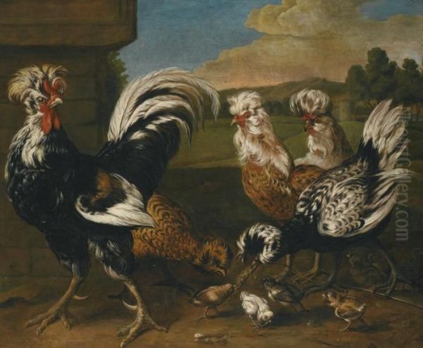 Polish Fowl And Their Young Oil Painting by Jacomo (or Victor, Jacobus) Victors