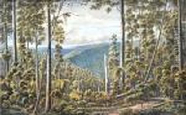 Forest Cape, Otway Ranges Oil Painting by Eugene von Guerard