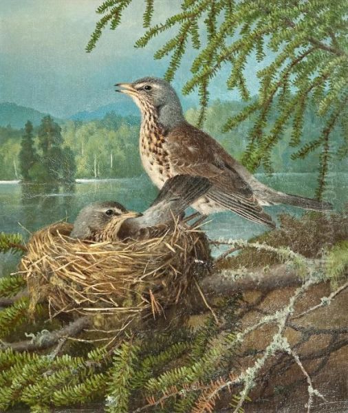 Birds At The Nest Oil Painting by Ferdinand Wilhelm Von Wright