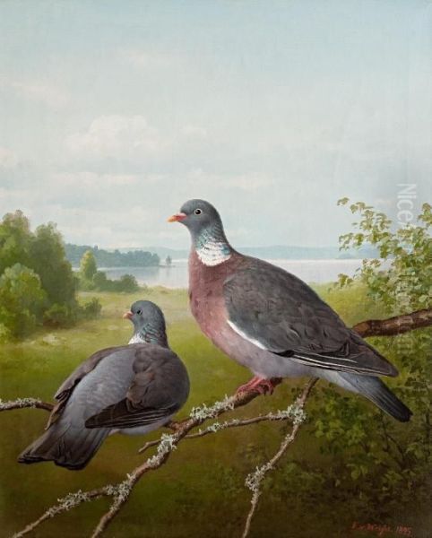 Pigeons Oil Painting by Ferdinand Wilhelm Von Wright