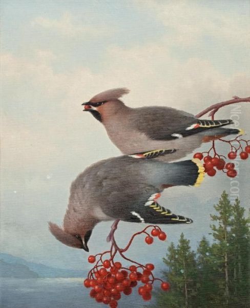 Waxwings Oil Painting by Ferdinand Wilhelm Von Wright