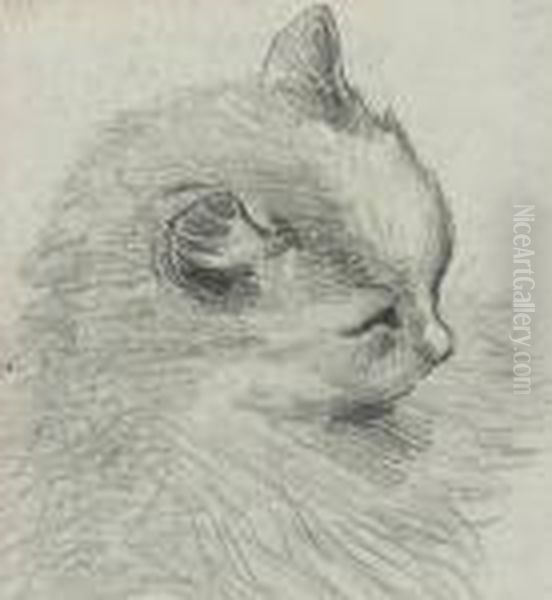 Study Of A Cat Oil Painting by Louis William Wain