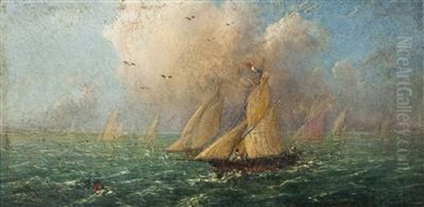 A Sail Boat At Sea Oil Painting by Anton Waldhauser