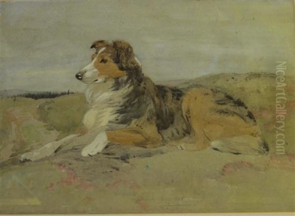 Reclining Collie Oil Painting by William Walls