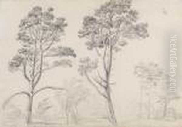 Two Studies Of Pine Trees At Hamilton Palace, Scotland Oil Painting by James Ward