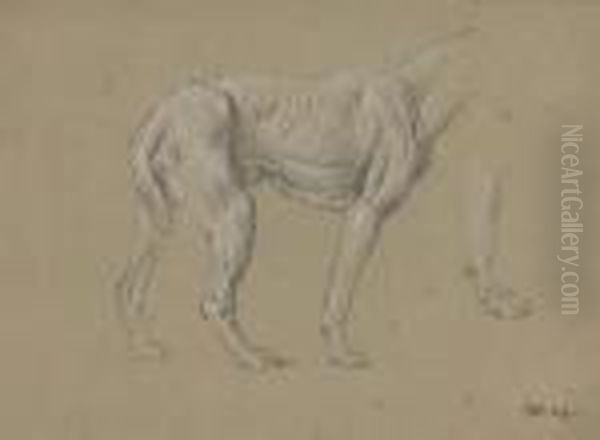 Study Of A Hound Oil Painting by James Ward