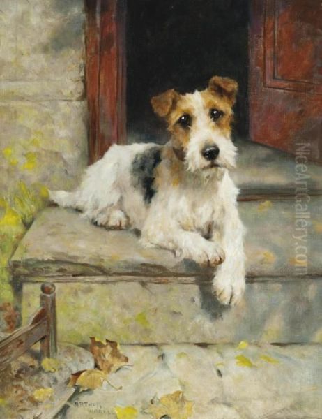 Waiting For Master, A Wire Coated Fox Terrier Oil Painting by Arthur Wardle