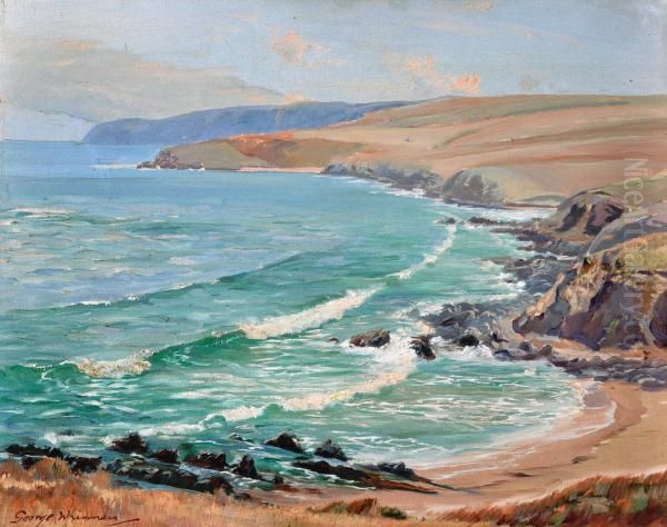  along The Coast From The Bluff, Victor Harbor  Oil Painting by George Whinnen