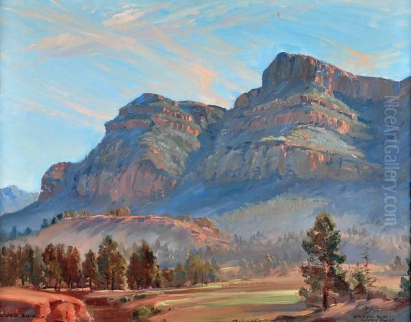  rawnsley Bluff, Flinders Ranges  Oil Painting by George Whinnen