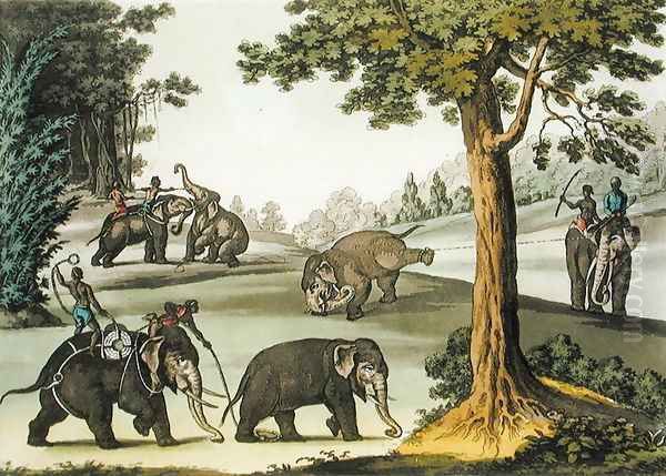 Capturing Elephants in Burma, plate 76 from Le Costume Ancien et Moderne by Jules Ferrario, published c.1820s-30s Oil Painting by Gaetano Zancon