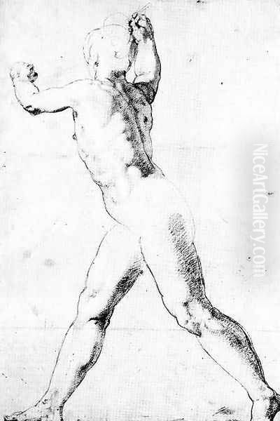 Study of a Male Nude Oil Painting by Taddeo Zuccaro