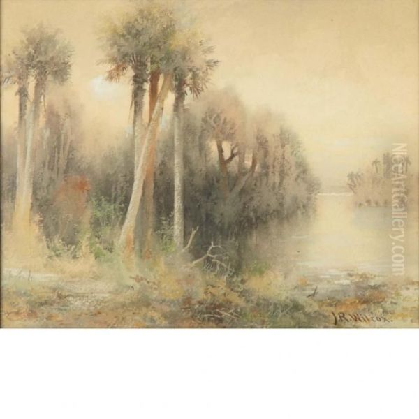 Florida Swampscape Oil Painting by James Ralph Wilcox