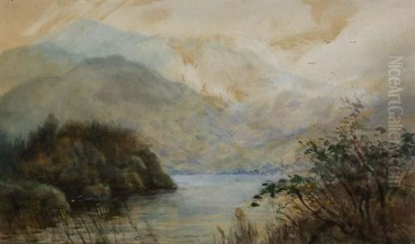 A Corner, Middle Lake, Killarney Oil Painting by Alexander Williams