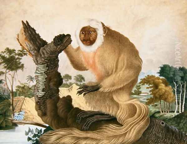 The Saki Monkey, 1835 Oil Painting by Aloys Zotl