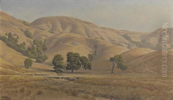 Rolling California Hills In Summer Oil Painting by Jack Wisby