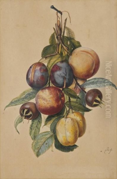 Still Life With Plums, White Plums, Peaches And Medlars Oil Painting by Pieter Withoos