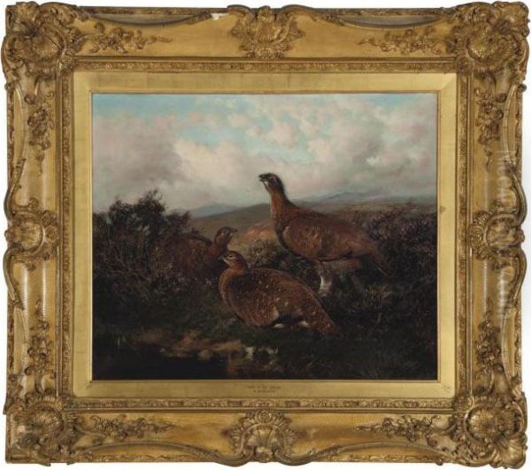 Home Of The Grouse Oil Painting by William Arnold Woodhouse