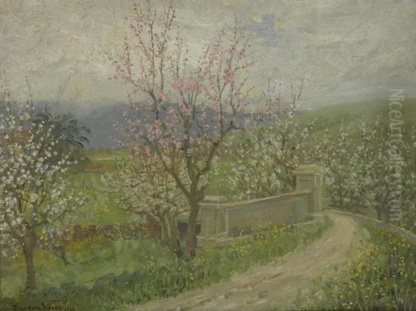 Cherry Blossoms Oil Painting by Theodore Wores