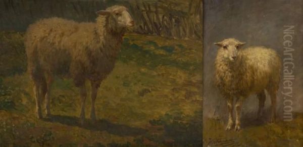 Mouton Oil Painting by Edouard Woutermaertens