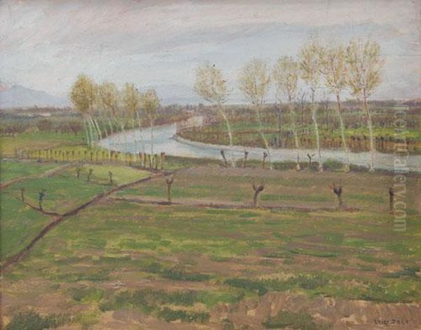 Fiume Oglio Nella Pianura Oil Painting by Luigi Zago