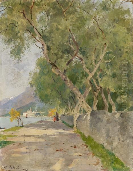 Motif Near Castello On Lake Garda Oil Painting by Eduard Zetsche