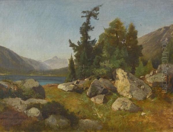 Sommerlicher Bergsee Mit Bauer Oil Painting by Friedrich Zimmermann