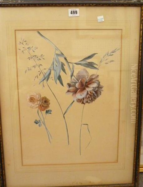 A Group Of Five Botanical Studies Oil Painting by Leopold Zinnogger