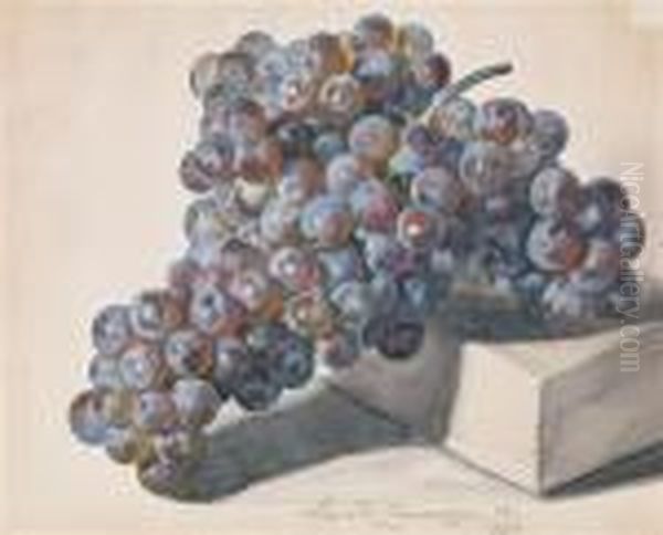 Dark Grape Oil Painting by Leopold Zinnogger