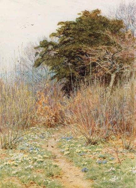 In A Spring Copse: 'here The White-rayed Anemone Is Born' Oil Painting by Helen Mary Elizabeth Allingham