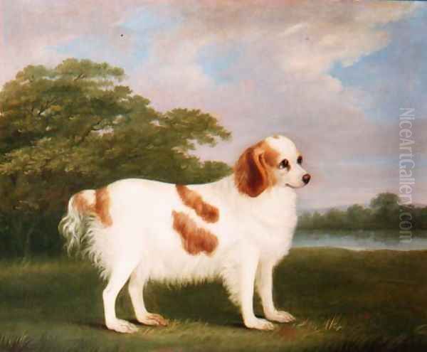 Spaniel in a Landscape, 1789 Oil Painting by John Nost Sartorius